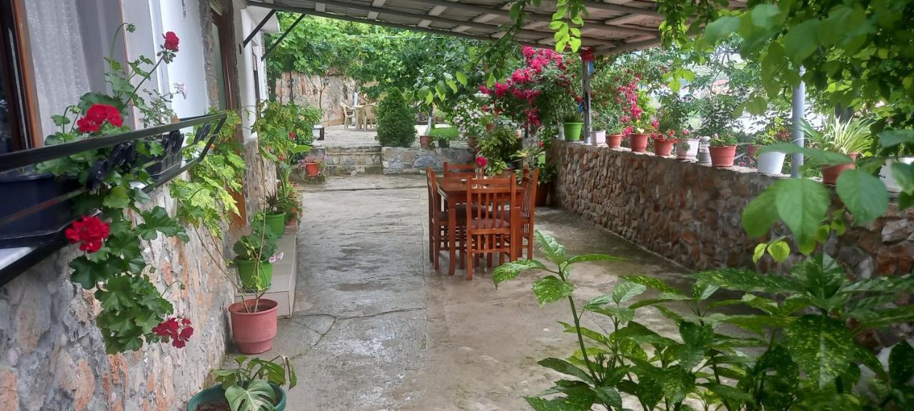 Roleo Guest House Lin Экстерьер фото